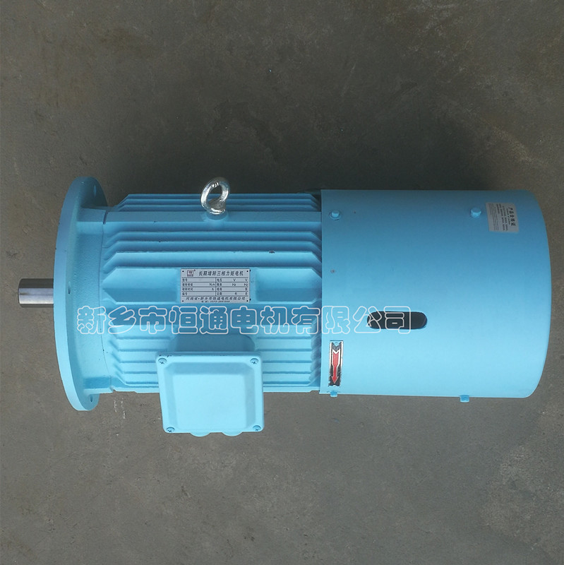 Long-term stall torque motor。